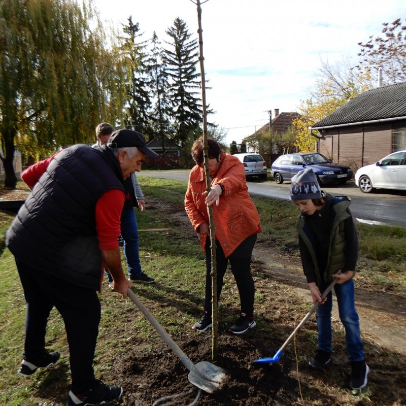 Közösségi faültetés Berettyóújfaluban 10
